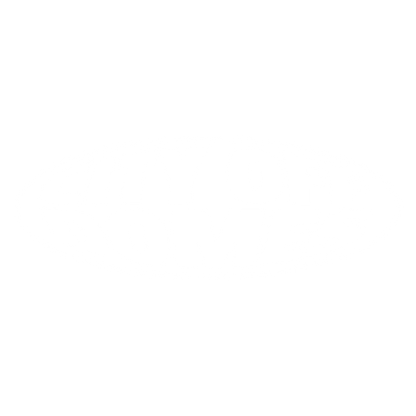 CITY OFF DOMES