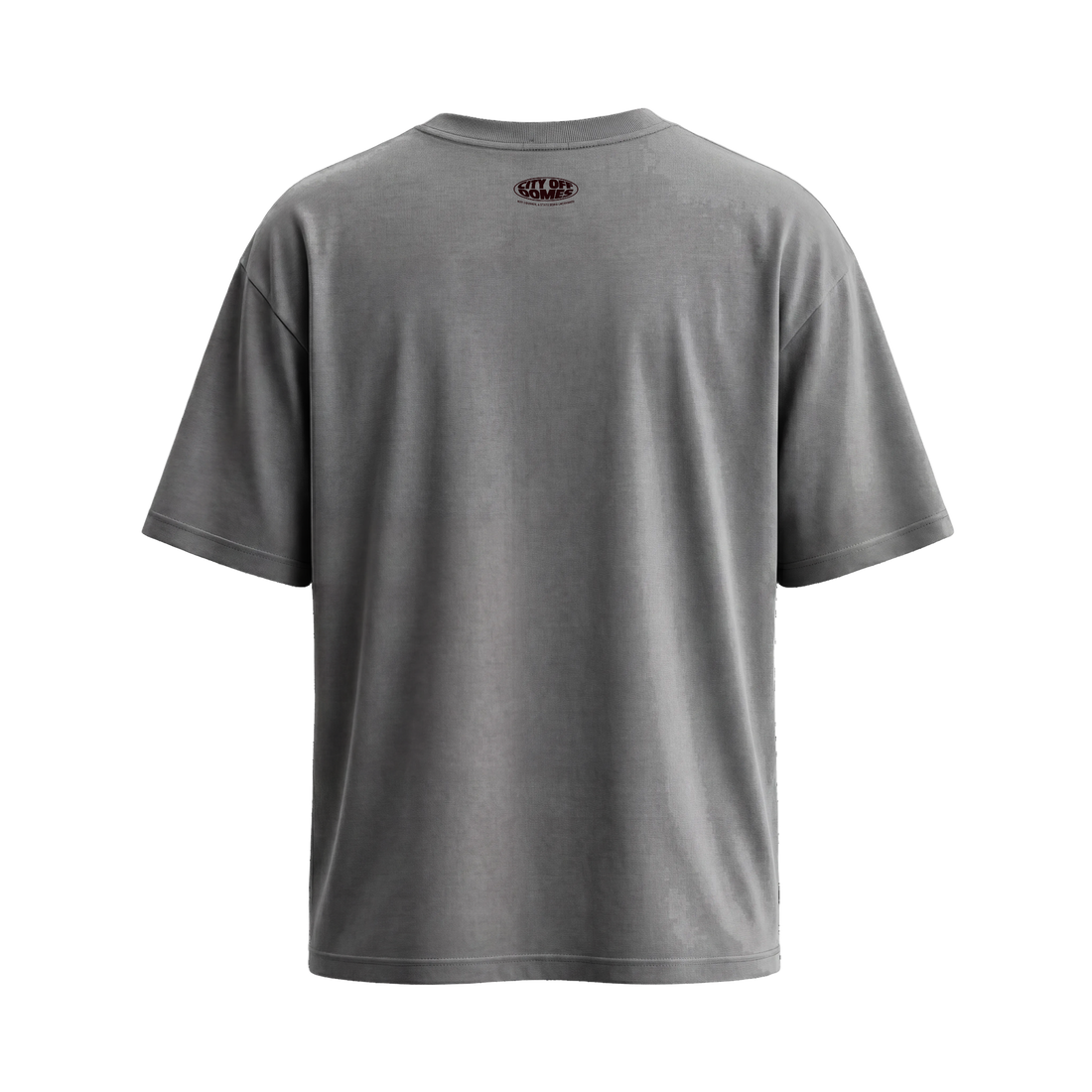 City Off Domes Nature Gray T-Shirt