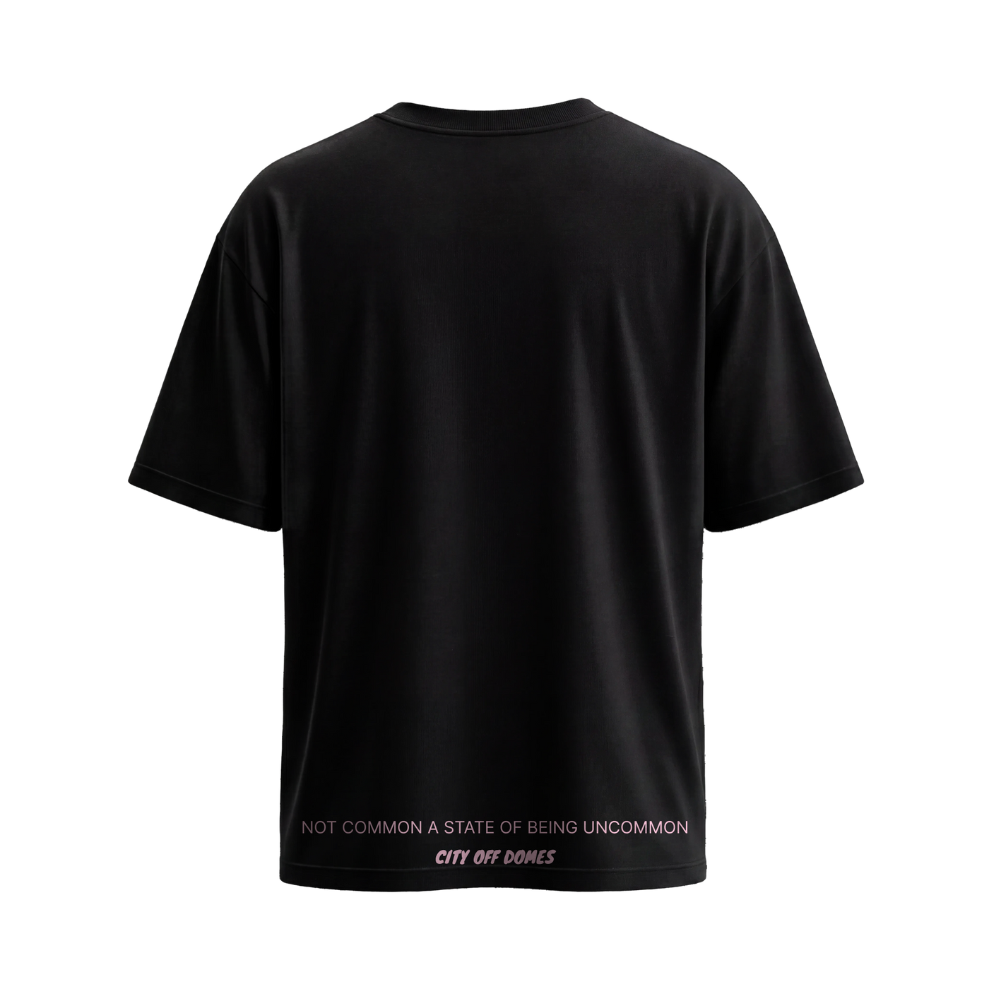 City Off Domes Subtle Storm Black T-Shirt