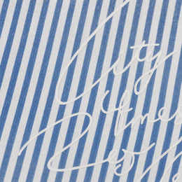 Close-up fabric detail - City Off Domes End Off Love Blue Stripe Shirt